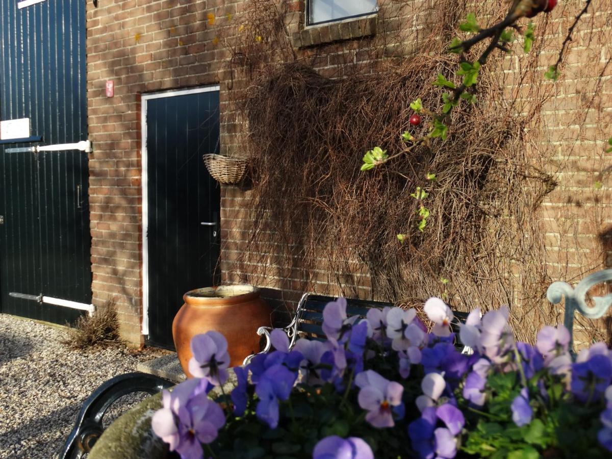 B&B Droom In De Polder -De Salon- Luxe Appartement Met Prive-Sauna Arnemuiden Dış mekan fotoğraf